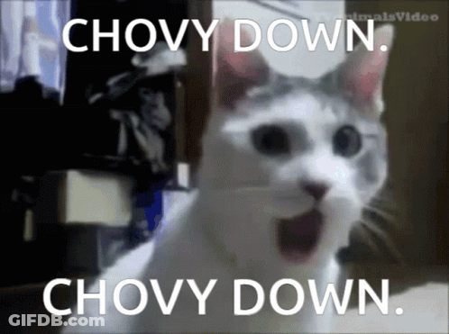 A Cat With Its Mouth Open And The Words " Chovy Down " Written On It GIF