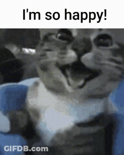 A Cat With Its Mouth Open And The Words " I 'M So Happy " Above It GIF