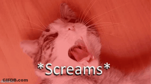 A Cat With Its Mouth Open And The Words * Screams * Written Above It GIF