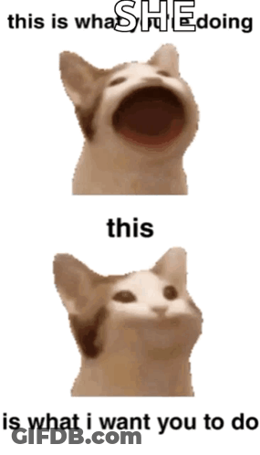 A Cat With Its Mouth Open And The Words " This Is What I Want You To Do " GIF