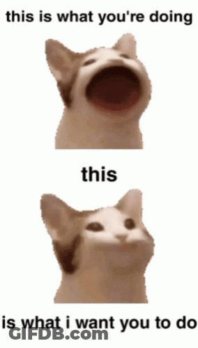 A Cat With Its Mouth Open And The Words " This Is What You 'Re Doing This Is What I Want You To Do " Below It GIF