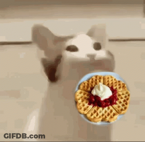 A Cat With Its Mouth Open Is Eating A Waffle With Whipped Cream On Top . GIF