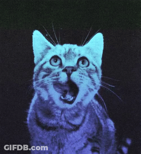 A Cat With Its Mouth Open Is Glowing Blue GIF