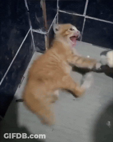 A Cat With Its Mouth Open Is Laying On A Bathroom Floor GIF
