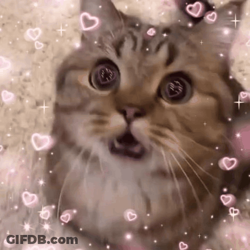 A Cat With Its Mouth Open Is Surrounded By Pink Hearts . GIF