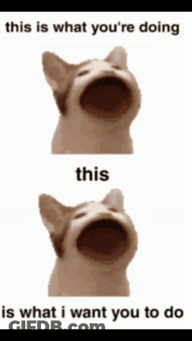 A Cat With Its Mouth Open Says This Is What You 'Re Doing GIF