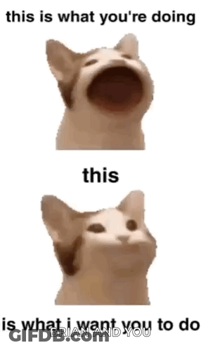 A Cat With Its Mouth Open Says This Is What You 'Re Doing And This Is What I Want You To Do Brian And You GIF