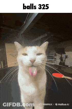 A Cat With Its Tongue Hanging Out And The Words Balls 325 Behind It GIF