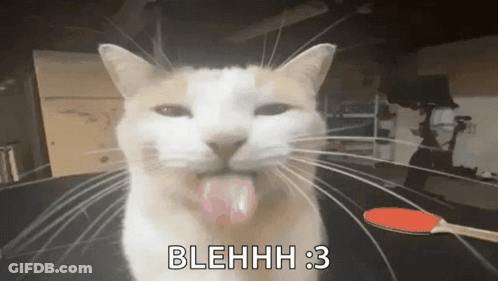 A Cat With Its Tongue Hanging Out And The Words Blehhh 3 Written Below It GIF