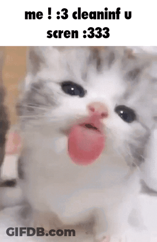 A Cat With Its Tongue Out And The Words `` Me 3 Cleaninf U Scren 333 '' GIF