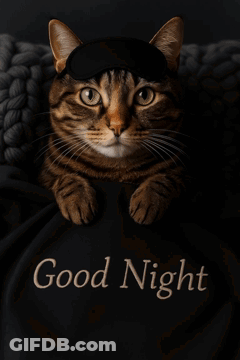 A Cat With Its Tongue Out Is Laying On A Black Blanket That Says " Good Night " GIF