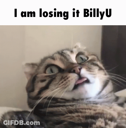 A Cat With Its Tongue Sticking Out And The Words I Am Losing It Billy U Above It GIF