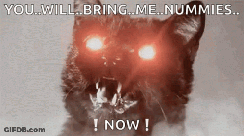 A Cat With Red Eyes And Sharp Teeth Is Screaming And Says `` You Will Bring Me Nummies Now '' . GIF