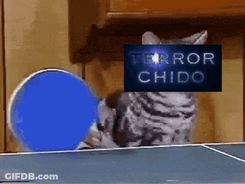 A Cat With Terror Chido Written On It 'S Face GIF