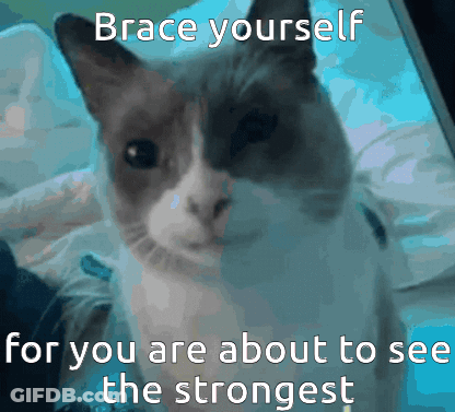A Cat With The Words Brace Yourself For You Are About To See The Strongest On It GIF
