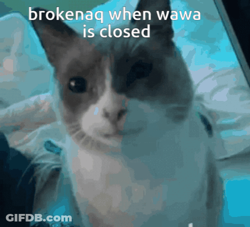 A Cat With The Words Brokenaq When Wawa Is Closed GIF