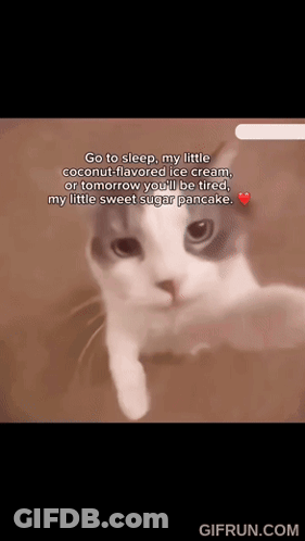 A Cat With The Words Go To Sleep My Little Coconut Flavored Ice Cream GIF