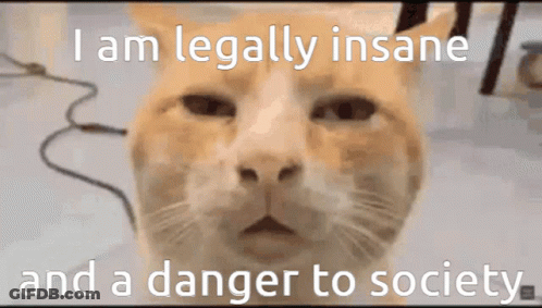 A Cat With The Words " I Am Legally Insane And A Danger To Society " GIF