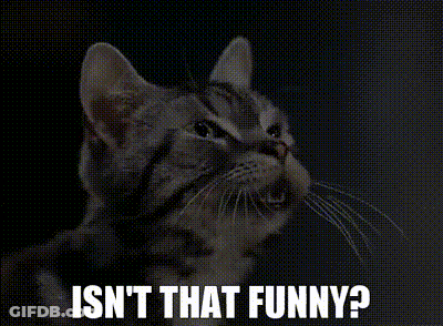 A Cat With The Words Isn 'T That Funny Written Below It GIF