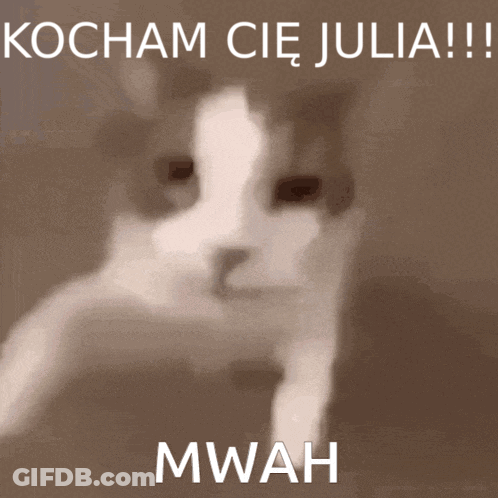 A Cat With The Words Kocham Cie Julia Written Above It GIF