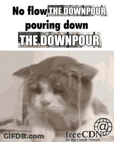 A Cat With The Words No Flow The Downpour Pouring Down The Downpour On It GIF