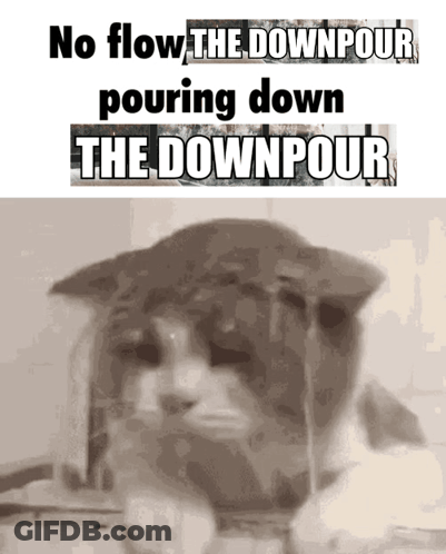 A Cat With The Words " No Flow The Downpour Pouring Down The Downpour " On It GIF