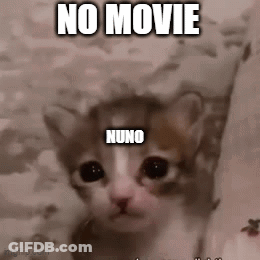 A Cat With The Words `` No Movie Nuno '' Written On It . GIF