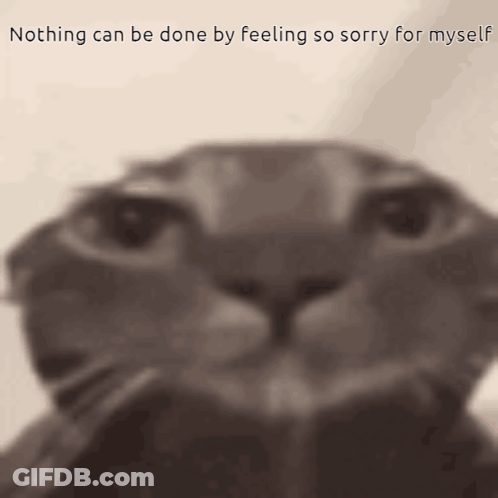 A Cat With The Words Nothing Can Be Done By Feeling So Sorry For Myself On The Bottom GIF