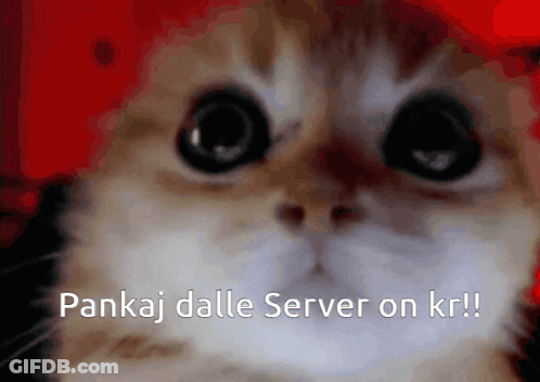 A Cat With The Words Pankaj Dalle Server On Kr Written Below It GIF