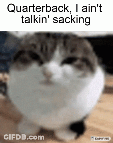 Cat With Quarterback I Ain't Talkin Sacking Text GIF