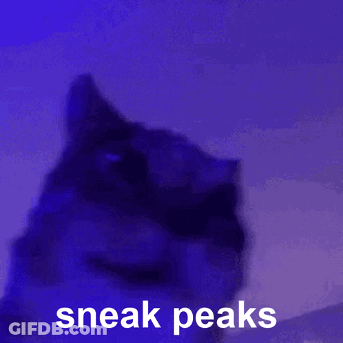 A Cat With The Words Sneak Peaks Written On It GIF