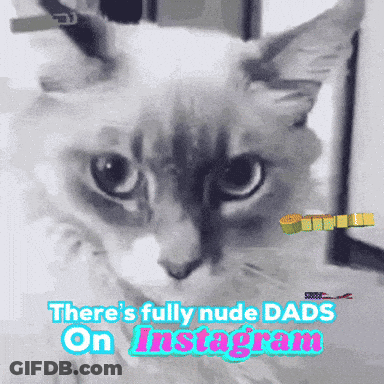 Cat With Text About Fully Nude Dads On Instagram GIF