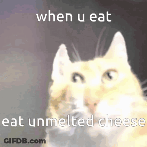 A Cat With The Words " When U Eat Eat Unmelted Cheese " On The Bottom GIF