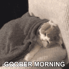 A Cat Wrapped In A Blanket On A Couch With The Words Goober Morning Above It . GIF