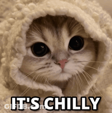 A Cat Wrapped In A Blanket With The Words " It 'S Chilly " Written Below It GIF