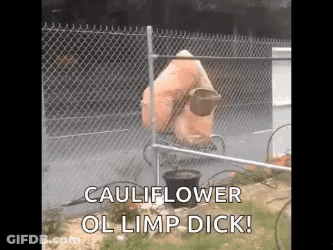 A Cauliflower Is Sitting In Front Of A Chain Link Fence And Says Cauliflower Ol Limp Dick . GIF