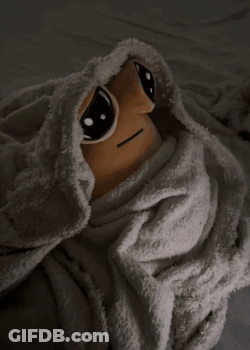 A Cell Phone Shows A Picture Of A Frog On The Screen GIF