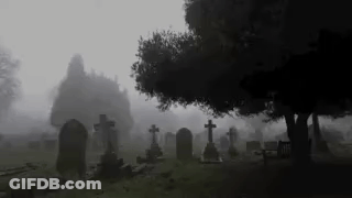 A Cemetery In The Fog With Trees And Graves GIF