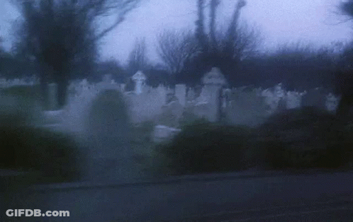 A Cemetery With A Lot Of Graves And Trees In The Fog . GIF