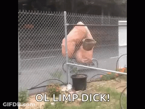 A Chain Link Fence With A Bucket Hanging From It And The Words Ol Limp Dick Written On It . GIF