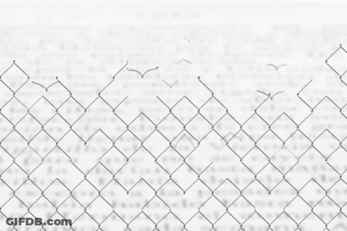 A Chain Link Fence With Birds Flying In The Distance GIF