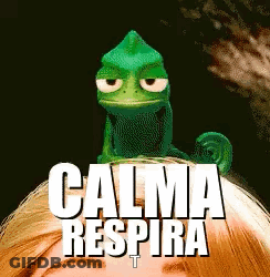 A Chameleon Is Sitting On Top Of A Woman 'S Head With The Words " Calma Respira " Written Below It GIF