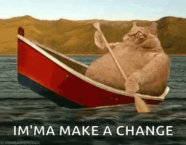 A Chance Gonna Need A Bigger Boat GIF