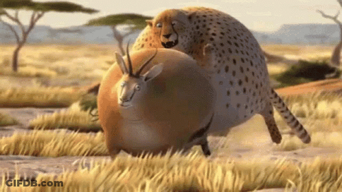 A Cheetah And A Gazelle Are Playing In The Grass . GIF