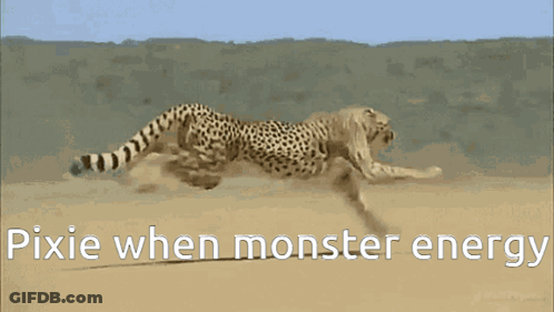 A Cheetah Is Running In The Desert With The Words Pixie When Monster Energy Below It GIF