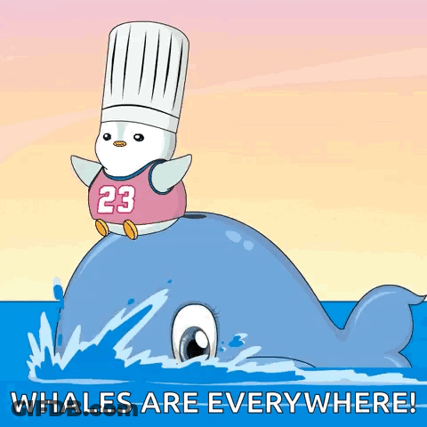 A Chef Penguin Is Riding On The Back Of A Whale With The Words " Whales Are Everywhere " GIF