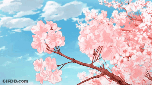 A Cherry Blossom Tree With Pink Flowers Against A Blue Sky With Clouds GIF
