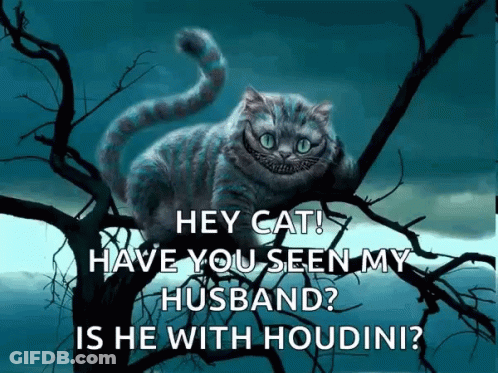 A Cheshire Cat From Alice In Wonderland Is Sitting On A Tree Branch Asking If He Has Seen His Husband GIF