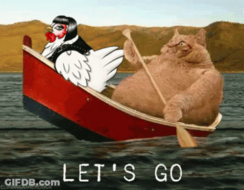 A Chicken And A Cat Are In A Boat With The Words Let 'S Go GIF