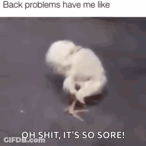 A Chicken Is Crawling On The Ground With The Words `` Back Problems Have Me Like Oh Shit , It 'S So Sore '' GIF